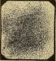 Picture 17 of 25 from Roper's catechism for steam engineers and electricians .. (1899), leaf 277