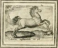 An illustration from Bellerophon, of, Lust tot vvysheyd : begrijpende veel zeedighe, stichtlijcke en leerlijcke sinne-beelden met haere verklaringhen (1614)