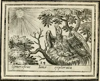 An illustration from Bellerophon, of, Lust tot vvysheyd : begrijpende veel zeedighe, stichtlijcke en leerlijcke sinne-beelden met haere verklaringhen (1614)