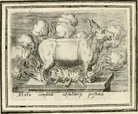 An illustration from Bellerophon, of, Lust tot vvysheyd : begrijpende veel zeedighe, stichtlijcke en leerlijcke sinne-beelden met haere verklaringhen (1614)