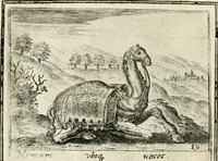 An illustration from Bellerophon, of, Lust tot vvysheyd : begrijpende veel zeedighe, stichtlijcke en leerlijcke sinne-beelden met haere verklaringhen (1614)