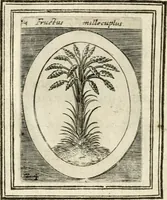 An illustration from Bellerophon, of, Lust tot vvysheyd : begrijpende veel zeedighe, stichtlijcke en leerlijcke sinne-beelden met haere verklaringhen (1614)