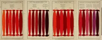 An illustration from Rosanthren Farbstoffe auf mercerisiertem Baumwollgarn = Colorants rosanthrènes sur fil de coton mercerisé = Rosanthrene colours on mercerised cotton yarn (1900)