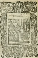 Picture 50 of 273 from Rosario della gloriosa Vergine Maria : con le stationi, & indulgentie delle chiese di Roma per tutto l'anno : di nuouo stampato, & ricorretto con nuoue & belle figure adornato (1591), leaf 105