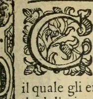 Picture 55 of 273 from Rosario della gloriosa Vergine Maria : con le stationi, & indulgentie delle chiese di Roma per tutto l'anno : di nuouo stampato, & ricorretto con nuoue & belle figure adornato (1591), leaf 114