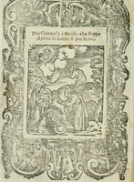 Picture 68 of 273 from Rosario della gloriosa Vergine Maria : con le stationi, & indulgentie delle chiese di Roma per tutto l'anno : di nuouo stampato, & ricorretto con nuoue & belle figure adornato (1591), leaf 135