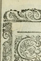 Picture 73 of 273 from Rosario della gloriosa Vergine Maria : con le stationi, & indulgentie delle chiese di Roma per tutto l'anno : di nuouo stampato, & ricorretto con nuoue & belle figure adornato (1591), leaf 142
