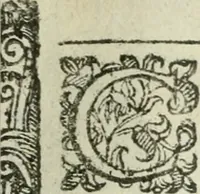 Picture 75 of 273 from Rosario della gloriosa Vergine Maria : con le stationi, & indulgentie delle chiese di Roma per tutto l'anno : di nuouo stampato, & ricorretto con nuoue & belle figure adornato (1591), leaf 144