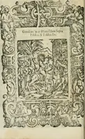 Picture 103 of 273 from Rosario della gloriosa Vergine Maria : con le stationi, & indulgentie delle chiese di Roma per tutto l'anno : di nuouo stampato, & ricorretto con nuoue & belle figure adornato (1591), leaf 183