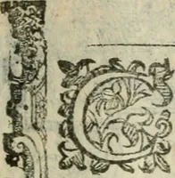 Picture 114 of 273 from Rosario della gloriosa Vergine Maria : con le stationi, & indulgentie delle chiese di Roma per tutto l'anno : di nuouo stampato, & ricorretto con nuoue & belle figure adornato (1591), leaf 200