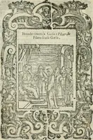 Picture 125 of 273 from Rosario della gloriosa Vergine Maria : con le stationi, & indulgentie delle chiese di Roma per tutto l'anno : di nuouo stampato, & ricorretto con nuoue & belle figure adornato (1591), leaf 217