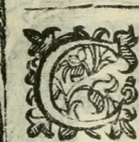 An illustration from Rosario della gloriosa Vergine Maria : con le stationi, & indulgentie delle chiese di Roma per tutto l'anno : di nuouo stampato, & ricorretto con nuoue & belle figure adornato (1591)