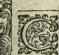 Picture 132 of 273 from Rosario della gloriosa Vergine Maria : con le stationi, & indulgentie delle chiese di Roma per tutto l'anno : di nuouo stampato, & ricorretto con nuoue & belle figure adornato (1591), leaf 224