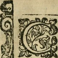Picture 141 of 273 from Rosario della gloriosa Vergine Maria : con le stationi, & indulgentie delle chiese di Roma per tutto l'anno : di nuouo stampato, & ricorretto con nuoue & belle figure adornato (1591), leaf 236