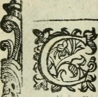 Picture 155 of 273 from Rosario della gloriosa Vergine Maria : con le stationi, & indulgentie delle chiese di Roma per tutto l'anno : di nuouo stampato, & ricorretto con nuoue & belle figure adornato (1591), leaf 252