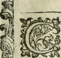 Picture 165 of 273 from Rosario della gloriosa Vergine Maria : con le stationi, & indulgentie delle chiese di Roma per tutto l'anno : di nuouo stampato, & ricorretto con nuoue & belle figure adornato (1591), leaf 268