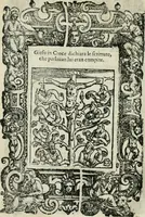 Picture 174 of 273 from Rosario della gloriosa Vergine Maria : con le stationi, & indulgentie delle chiese di Roma per tutto l'anno : di nuouo stampato, & ricorretto con nuoue & belle figure adornato (1591), leaf 285