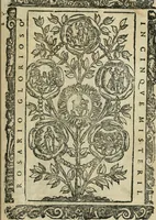 Picture 177 of 273 from Rosario della gloriosa Vergine Maria : con le stationi, & indulgentie delle chiese di Roma per tutto l'anno : di nuouo stampato, & ricorretto con nuoue & belle figure adornato (1591), leaf 292