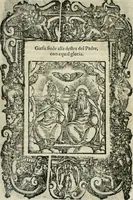 Picture 206 of 273 from Rosario della gloriosa Vergine Maria : con le stationi, & indulgentie delle chiese di Roma per tutto l'anno : di nuouo stampato, & ricorretto con nuoue & belle figure adornato (1591), leaf 333
