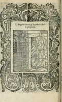 Picture 218 of 273 from Rosario della gloriosa Vergine Maria : con le stationi, & indulgentie delle chiese di Roma per tutto l'anno : di nuouo stampato, & ricorretto con nuoue & belle figure adornato (1591), leaf 351