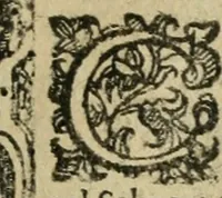 Picture 234 of 273 from Rosario della gloriosa Vergine Maria : con le stationi, & indulgentie delle chiese di Roma per tutto l'anno : di nuouo stampato, & ricorretto con nuoue & belle figure adornato (1591), leaf 376