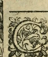Picture 236 of 273 from Rosario della gloriosa Vergine Maria : con le stationi, & indulgentie delle chiese di Roma per tutto l'anno : di nuouo stampato, & ricorretto con nuoue & belle figure adornato (1591), leaf 378