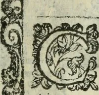 Picture 254 of 273 from Rosario della gloriosa Vergine Maria : con le stationi, & indulgentie delle chiese di Roma per tutto l'anno : di nuouo stampato, & ricorretto con nuoue & belle figure adornato (1591), leaf 402