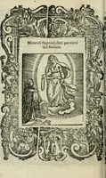 Picture 262 of 273 from Rosario della gloriosa Vergine Maria : con le stationi, & indulgentie delle chiese di Roma per tutto l'anno : di nuouo stampato, & ricorretto con nuoue & belle figure adornato (1591), leaf 437