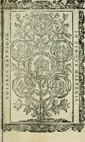 Picture 24 of 273 from Rosario della gloriosa Vergine Maria : con le stationi, & indulgentie delle chiese di Roma per tutto l'anno : di nuouo stampato, & ricorretto con nuoue & belle figure adornato (1591), leaf 68