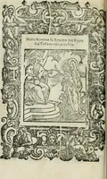 Picture 26 of 273 from Rosario della gloriosa Vergine Maria : con le stationi, & indulgentie delle chiese di Roma per tutto l'anno : di nuouo stampato, & ricorretto con nuoue & belle figure adornato (1591), leaf 71