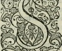 Picture 3 of 273 from Rosario della gloriosa Vergine Maria : con le stationi, & indulgentie delle chiese di Roma per tutto l'anno : di nuouo stampato, & ricorretto con nuoue & belle figure adornato (1591), leaf 8