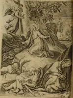 An illustration from Rosario figvrato della Sacratissima Vergine Maria, Madre di Dio, nostra avocata (1578)