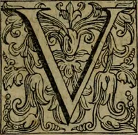 Picture 39 of 89 from Rosario figvrato della Sacratissima Vergine Maria, Madre di Dio, nostra avocata (1578), leaf 120