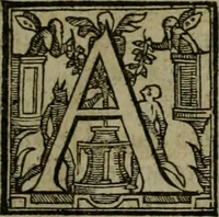 An illustration from Rosario figvrato della Sacratissima Vergine Maria, Madre di Dio, nostra avocata (1578)