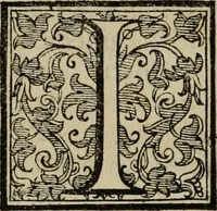 An illustration from Rosario figvrato della Sacratissima Vergine Maria, Madre di Dio, nostra avocata (1578)