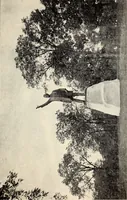 An illustration from Rosemond Grove Cemetery Association : historical sketch ; by-laws ; Soldiers' Monument : dedication exercises ; addresses (1905)
