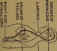 An illustration from The Rosicrucian cosmo-conception; or, Christian occult science, an elementary treatise upon man's past evolution, present constitution and future development (1909)