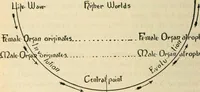 Picture 14 of 21 from The Rosicrucian cosmo-conception : or, Mystic Christianity ; an elementary treatise upon man's past evolution, present constitution and future development (1920), leaf 375