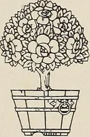 An illustration from Rosicrucian fundamentals : an exposition of the Rosicrucian synthesis of religion, science and philosophy, in fourteen complete instructions (1920)