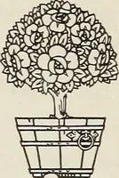 An illustration from Rosicrucian fundamentals : an exposition of the Rosicrucian synthesis of religion, science and philosophy, in fourteen complete instructions (1920)