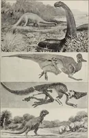 An illustration from Rosicrucian fundamentals : an exposition of the Rosicrucian synthesis of religion, science and philosophy, in fourteen complete instructions (1920)