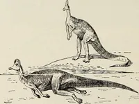 An illustration from Rosicrucian fundamentals : an exposition of the Rosicrucian synthesis of religion, science and philosophy, in fourteen complete instructions (1920)
