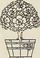An illustration from Rosicrucian fundamentals : an exposition of the Rosicrucian synthesis of religion, science and philosophy, in fourteen complete instructions (1920)