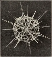 An illustration from Rosicrucian fundamentals : an exposition of the Rosicrucian synthesis of religion, science and philosophy, in fourteen complete instructions (1920)