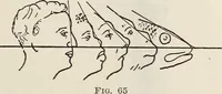 An illustration from Rosicrucian fundamentals : an exposition of the Rosicrucian synthesis of religion, science and philosophy, in fourteen complete instructions (1920)