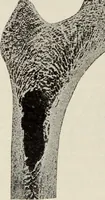 An illustration from Rosicrucian fundamentals : an exposition of the Rosicrucian synthesis of religion, science and philosophy, in fourteen complete instructions (1920)