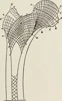 An illustration from Rosicrucian fundamentals : an exposition of the Rosicrucian synthesis of religion, science and philosophy, in fourteen complete instructions (1920)