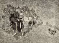 An illustration from Rosicrucian fundamentals : an exposition of the Rosicrucian synthesis of religion, science and philosophy, in fourteen complete instructions (1920)