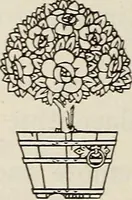 An illustration from Rosicrucian fundamentals : an exposition of the Rosicrucian synthesis of religion, science and philosophy, in fourteen complete instructions (1920)