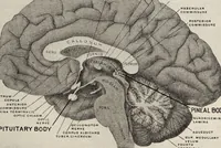 An illustration from Rosicrucian fundamentals : an exposition of the Rosicrucian synthesis of religion, science and philosophy, in fourteen complete instructions (1920)